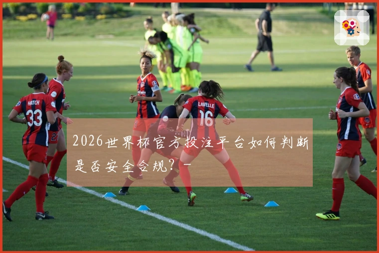 2026世界杯官方投注平台如何判断是否安全合规？-
