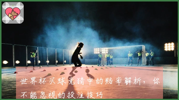 世界杯买球竞猜中的赔率解析，你不能忽视的投注技巧