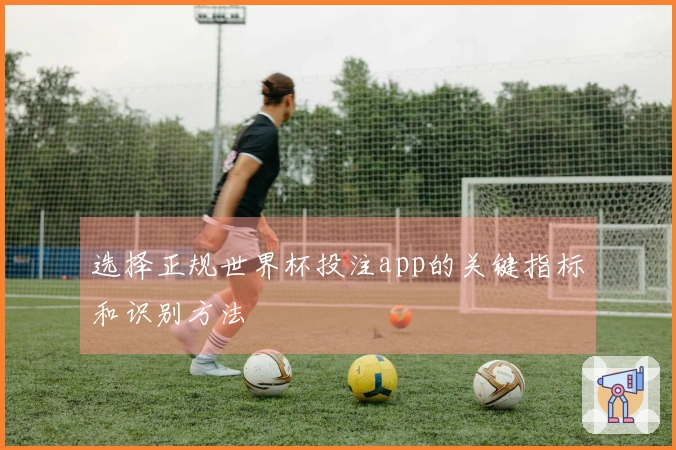 选择正规世界杯投注app的关键指标和识别方法