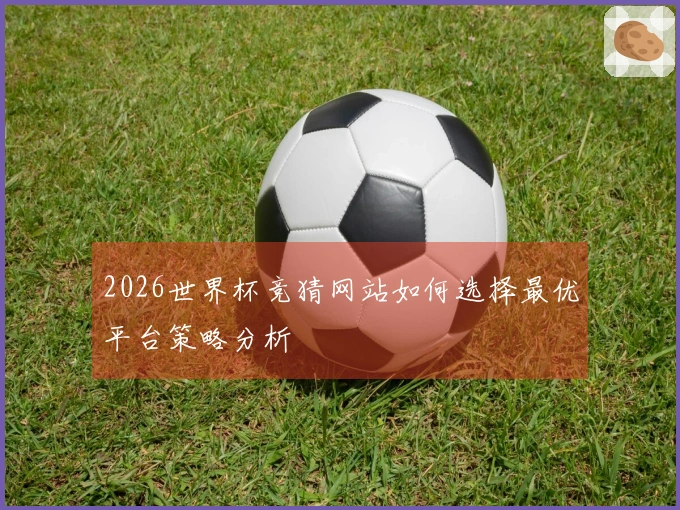 2026世界杯竞猜网站如何选择最优平台策略分析