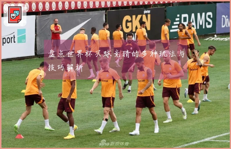 盘点世界杯买球竞猜的多种玩法与技巧解析
