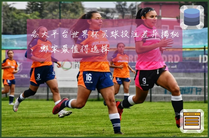 各大平台世界杯买球投注差异揭秘，哪家最值得选择