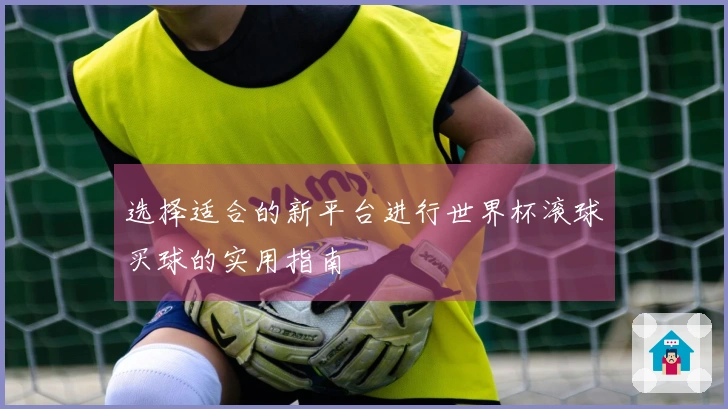选择适合的新平台进行世界杯滚球买球的实用指南