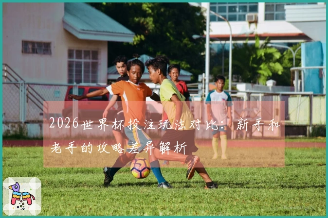 2026世界杯投注玩法对比：新手和老手的攻略差异解析