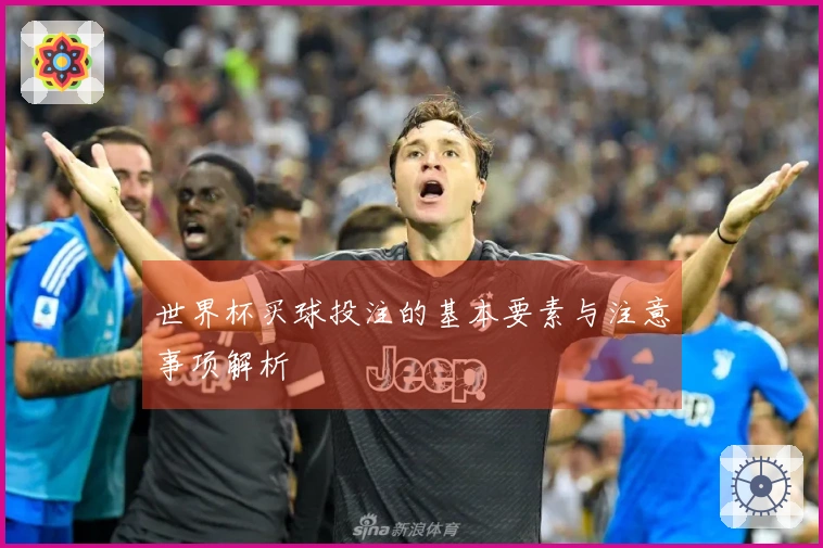 世界杯买球投注的基本要素与注意事项解析