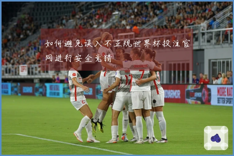 如何避免误入不正规世界杯投注官网进行安全竞猜