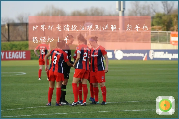 世界杯竞猜投注规则详解，新手也能轻松上手