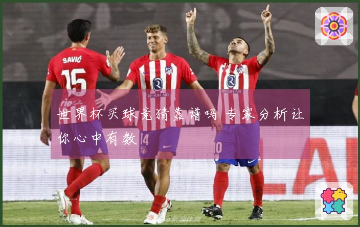 世界杯买球竞猜靠谱吗 专家分析让你心中有数
