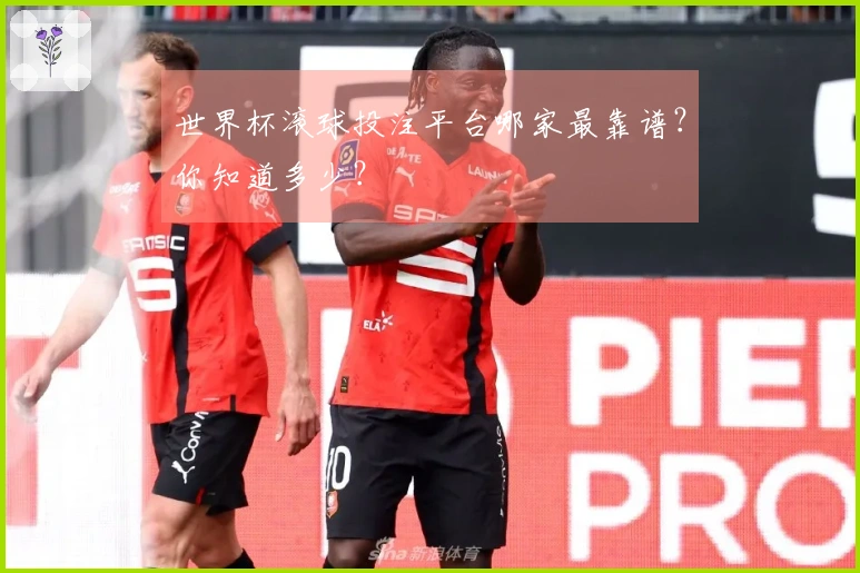 世界杯滚球投注平台哪家最靠谱？你知道多少？