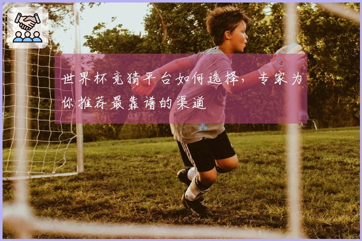 世界杯竞猜平台如何选择，专家为你推荐最靠谱的渠道