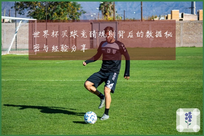 世界杯买球竞猜规则背后的数据秘密与经验分享