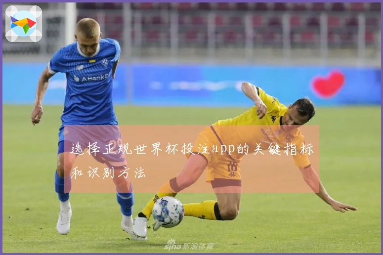选择正规世界杯投注app的关键指标和识别方法