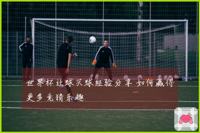 世界杯让球买球经验分享 如何赢得更多竞猜乐趣