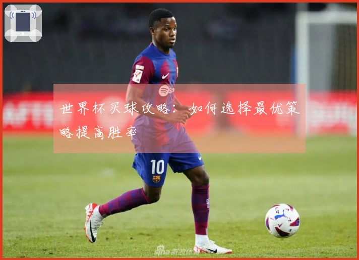 世界杯买球攻略：如何选择最优策略提高胜率