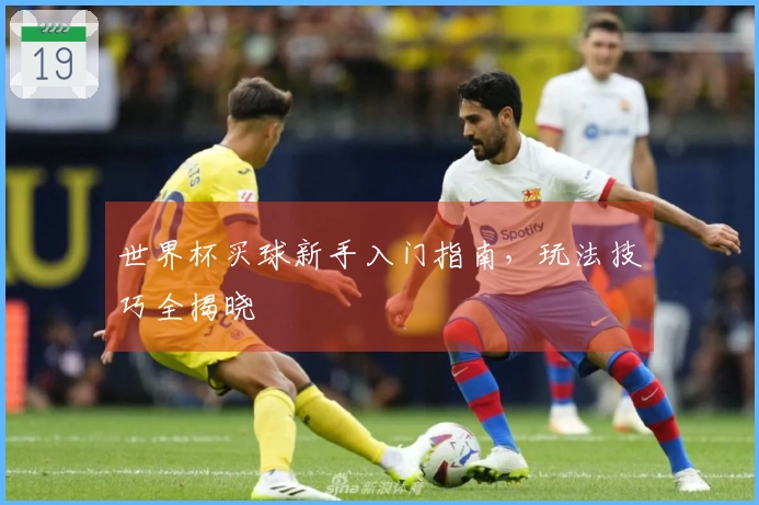 世界杯买球新手入门指南，玩法技巧全揭晓