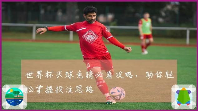 世界杯买球竞猜必看攻略，助你轻松掌握投注思路