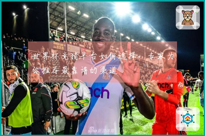 世界杯竞猜平台如何选择，专家为你推荐最靠谱的渠道