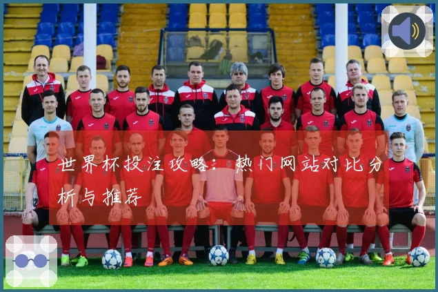 世界杯投注攻略：热门网站对比分析与推荐