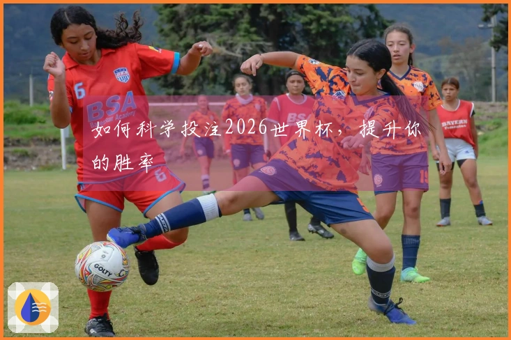 如何科学投注2026世界杯，提升你的胜率